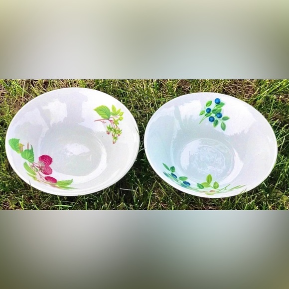 Set of 2 SELTMANN WEIDEN BAVARIA West Germany Qualitats Porzellan Soup Bowls - Picture 9 of 10